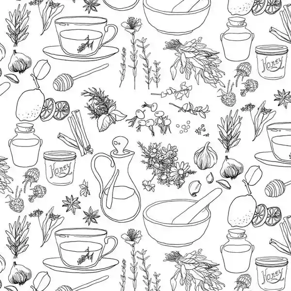 ترجمه تخصصی گیاهان دارویی